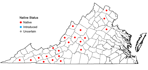 Locations ofHypericum densiflorum Pursh var. densiflorum in Virginia