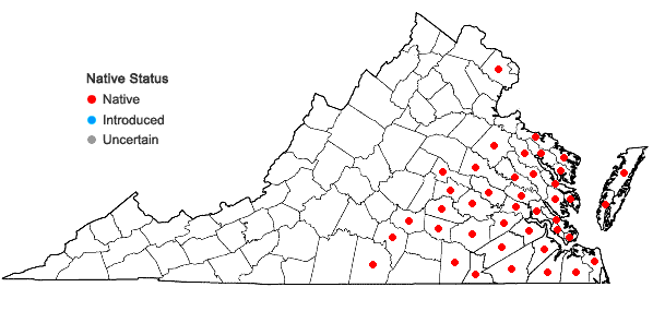 Locations ofHypericum hypericoides (L.) Crantz  in Virginia