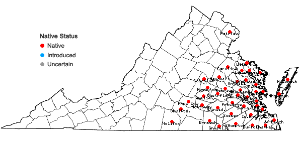 Locations ofHypericum hypericoides (L.) Crantz in Virginia