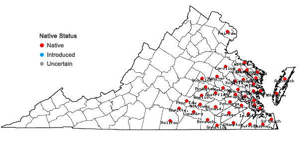 Locations ofHypericum hypericoides (L.) Crantz  in Virginia