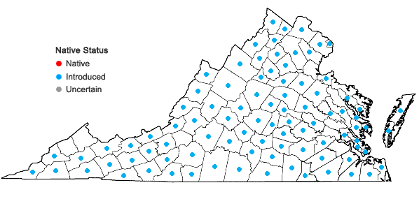 Locations ofHypericum perforatum L. in Virginia