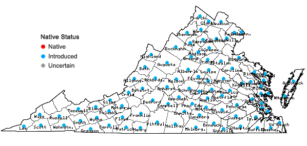 Locations ofHypericum perforatum L. in Virginia