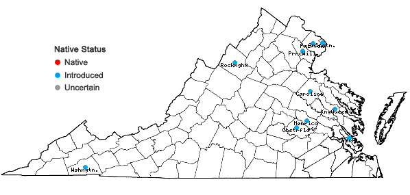 Locations ofIlex crenata Thunberg in Virginia