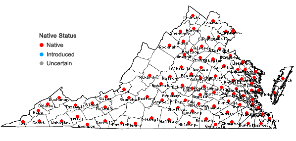 Locations ofIlex opaca Aiton var. opaca in Virginia