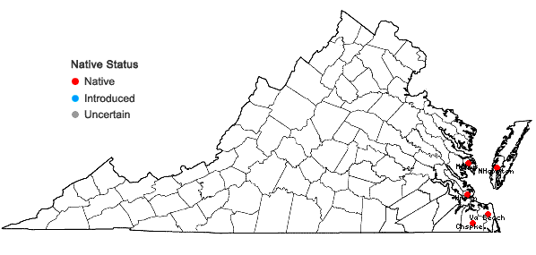 Locations ofIlex vomitoria Aiton in Virginia
