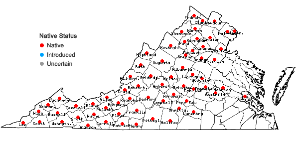 Locations ofImpatiens pallida Nuttall in Virginia