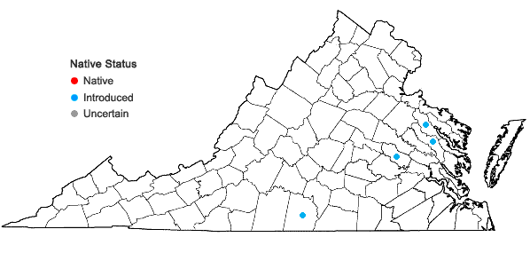 Locations ofIpomoea triloba L. in Virginia