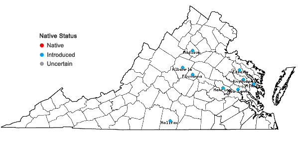 Locations ofIpomoea triloba L. in Virginia