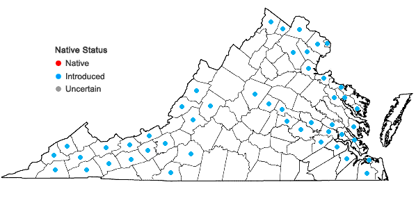 Locations ofIris pseudacorus L. in Virginia