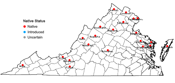 Locations ofIris versicolor L. in Virginia