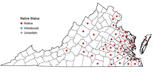Locations ofIris virginica L. in Virginia
