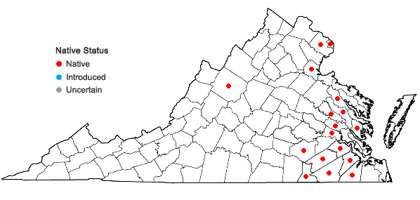 Locations ofIsoetes riparia Engelm. ex A. Braun in Virginia