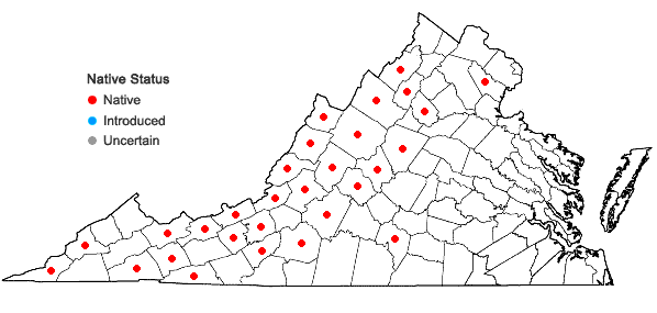 Locations ofIsoetes valida (Engelm.) Clute in Virginia