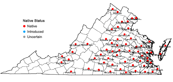 Locations ofJuncus biflorus Ell. in Virginia