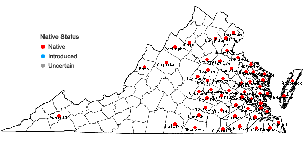 Locations ofJuncus canadensis J. Gay ex Laharpe in Virginia