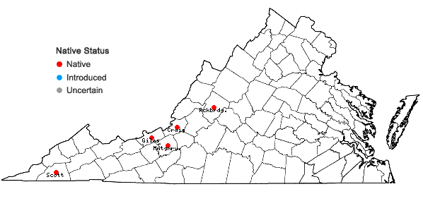 Locations ofJungermannia pumila With. in Virginia