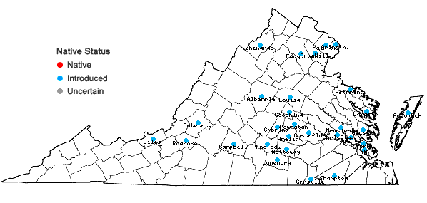Locations ofKickxia elatine (L.) Dumort. in Virginia