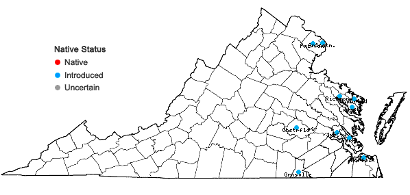 Locations ofLagerstroemia indica L. in Virginia