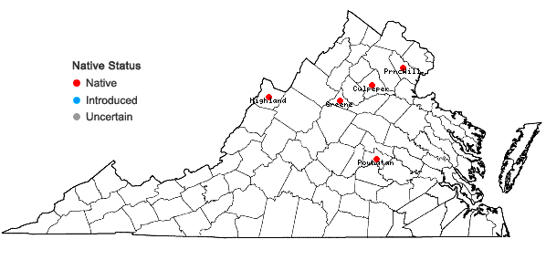 Locations ofLechea intermedia Leggett ex Britt. var. intermedia in Virginia