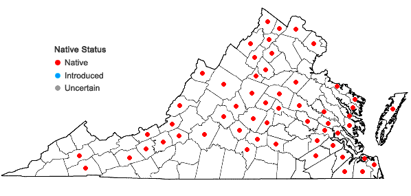 Locations ofLemna minor L. in Virginia