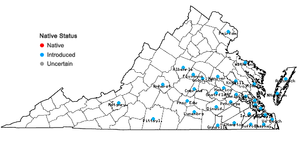 Locations ofLepidium didymum L. in Virginia