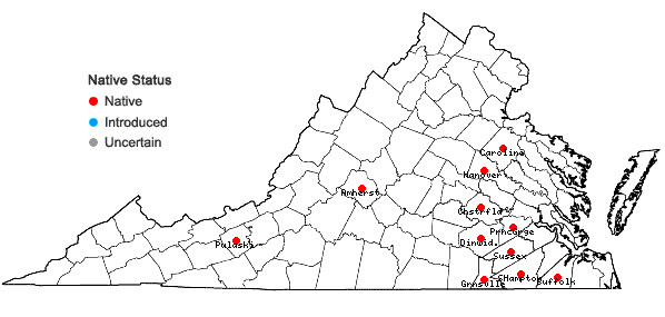 Locations ofLeptoloma cognatum (Schultes) Chase in Virginia