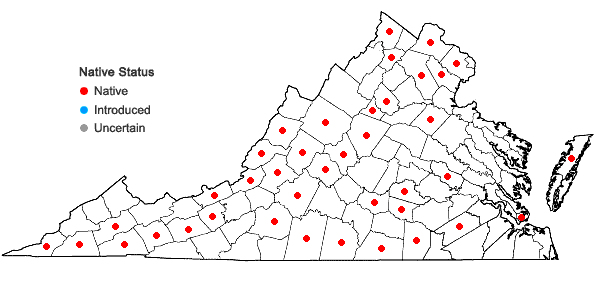 Locations ofLespedeza frutescens (L.) Ell. in Virginia
