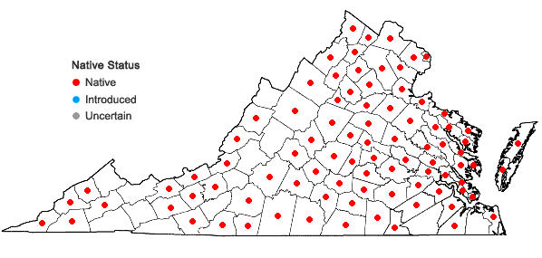 Locations ofLespedeza procumbens Michx. in Virginia