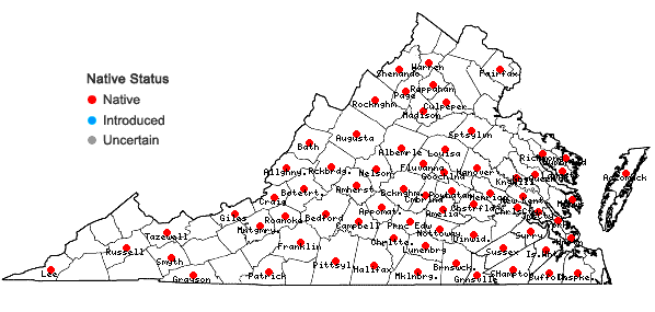 Locations ofLeucodon julaceus (Hedw.) Sull. in Virginia