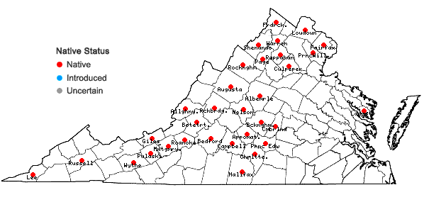 Locations ofLithospermum canescens (Michx.) Lehm. in Virginia