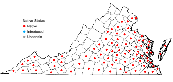 Locations ofLobelia puberula Michaux in Virginia