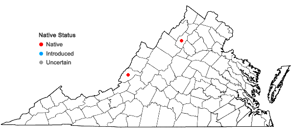 Locations ofLophoziopsis excisa (Dicks.) Konstant. & Vilnet in Virginia