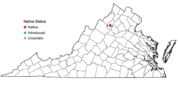 Locations ofLophoziopsis excisa (Dicks.) Konstant. & Vilnet in Virginia