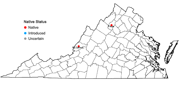 Locations ofLophoziopsis excisa (Dicks.) Konstant. & Vilnet in Virginia