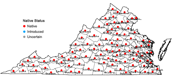 Locations ofLysimachia quadrifolia L. in Virginia