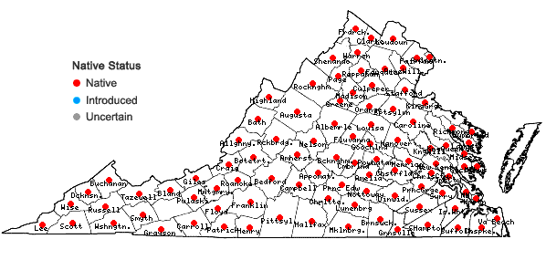 Locations ofLysimachia quadrifolia L. in Virginia