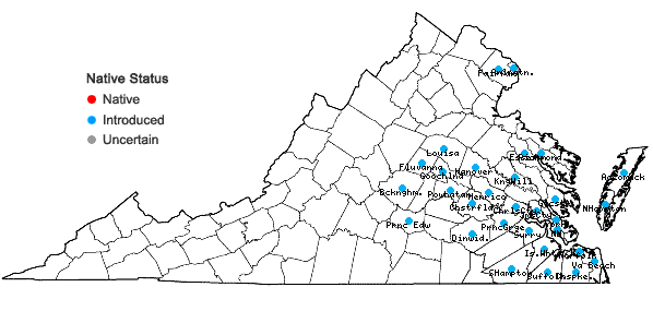 Locations ofMagnolia grandiflora L. in Virginia