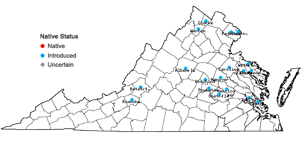 Locations ofMahonia bealei (Fortune) Carr. in Virginia