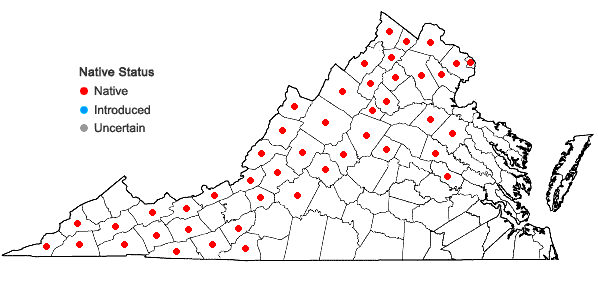 Locations ofMaianthemum canadense Desf. in Virginia
