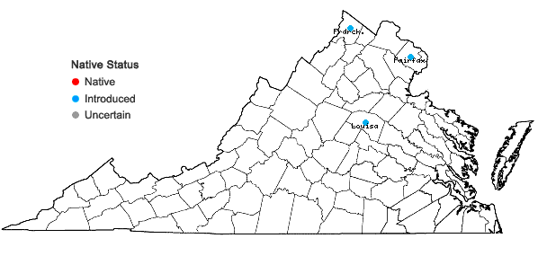 Locations ofMalus baccata (L.) Borkh. in Virginia