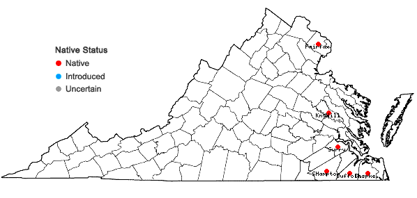 Locations ofMetzgeria myriopoda Lindberg in Virginia