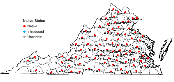 Locations ofMicranthes virginiensis (Michaux) Small in Virginia