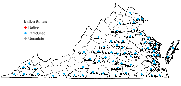 Locations ofMiscanthus sinensis Anderss. in Virginia