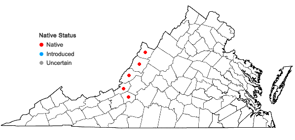 Locations ofMonarda reedii Floden & Townsend in Virginia