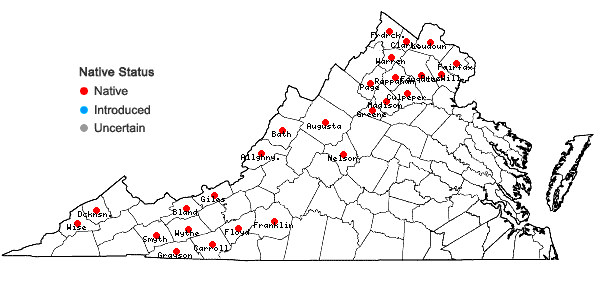 Locations ofMuhlenbergia mexicana (L.) Trin. in Virginia