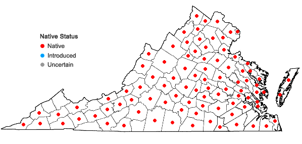 Locations ofMuhlenbergia schreberi J.F. Gmel. in Virginia
