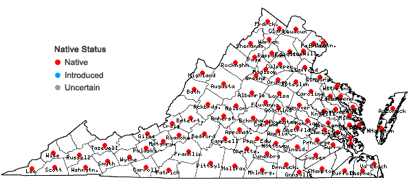 Locations ofMuhlenbergia schreberi J.F. Gmel. in Virginia