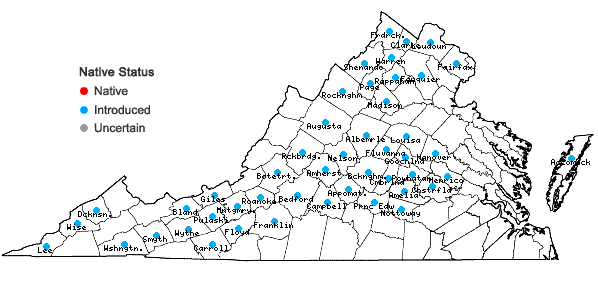 Locations ofMummenhoffia alliacea (L.) Esmailbegi & Al-Shehbaz in Virginia