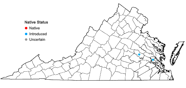 Locations ofMurdannia nudiflora (L.) Brenan in Virginia