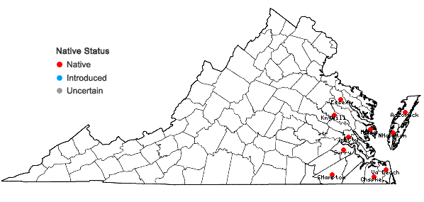 Locations ofMyriocoleopsis minutissima (Sm.) R.L. Zhu, Y. Yu & Pocs ssp. minutissima      in Virginia